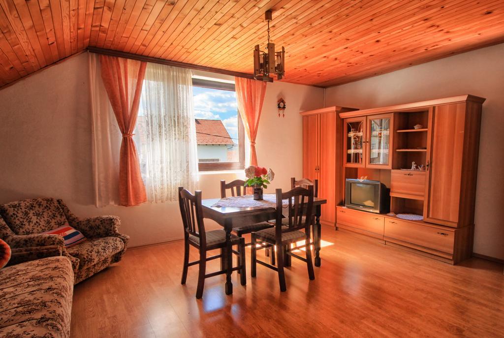 Apartman Josipa Drežnik Grad المظهر الخارجي الصورة